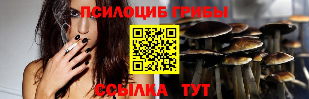 даркнет сайт  Галлюциногенные грибы мухоморы  Вход с VPN  Гатчина 